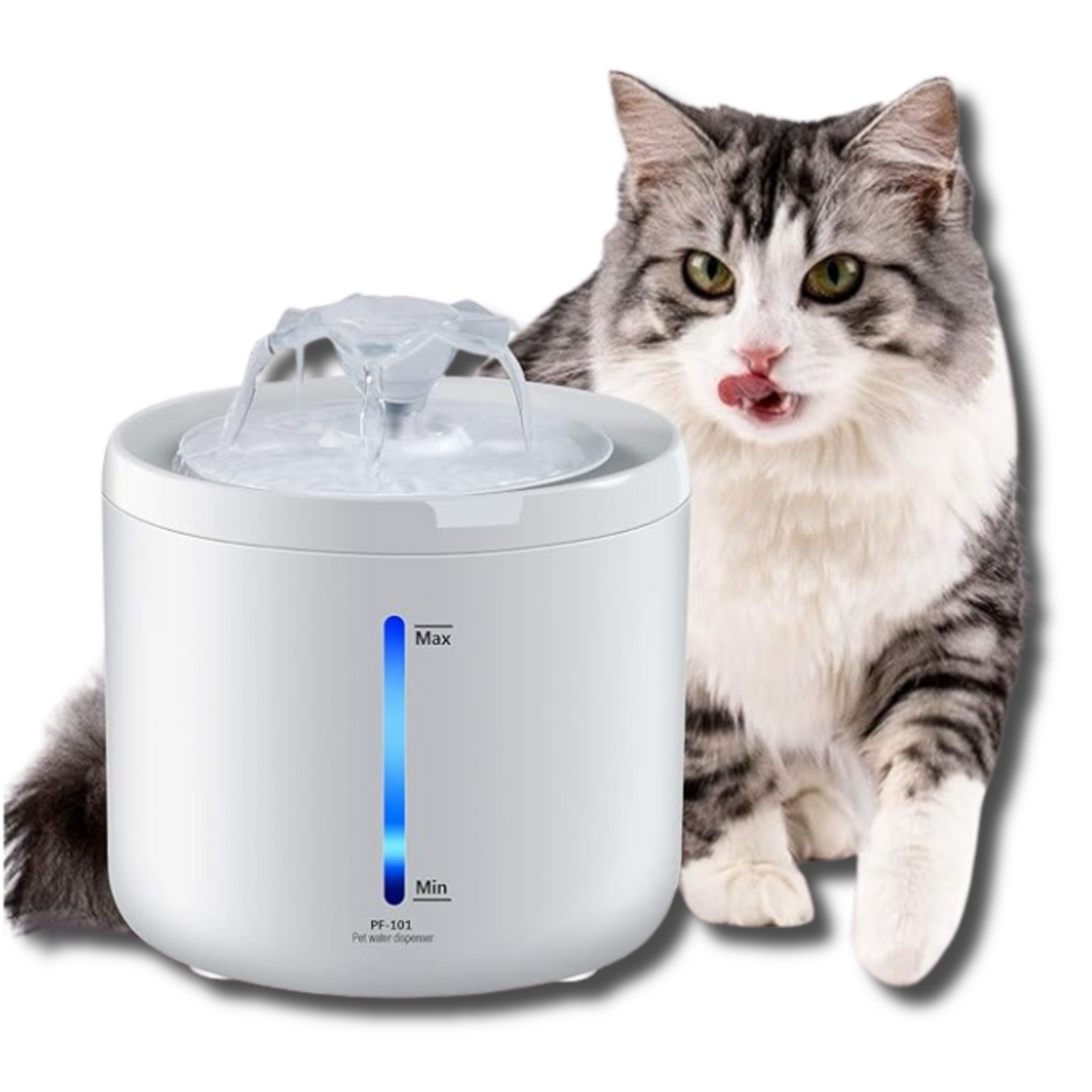 Pet water fountain