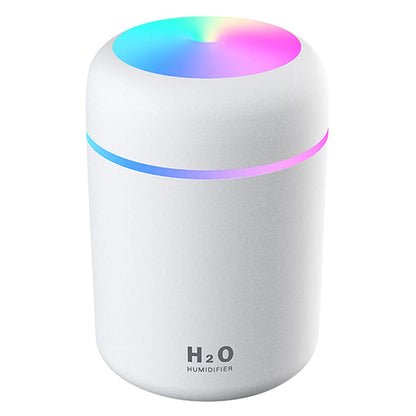 H2O Humidifier