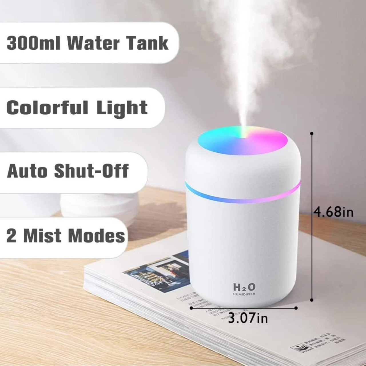 H2O Humidifier