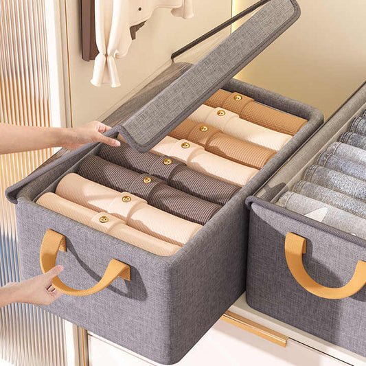 Closet organizer with transparent lid